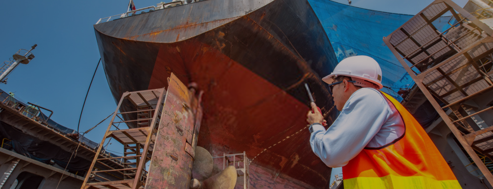 <span>CÔNG TY cổ phần ALPHA LINK</span>chuyên cung cấp thiệt bị thông tin liên lạc và nghi khí Hàng Hải